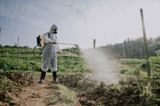 Best Commercial Pest Control Services  in Evansville, WY